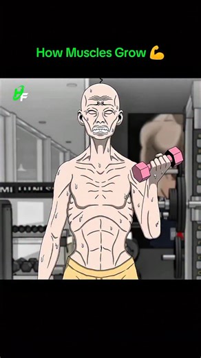 fiitness.healthy.body on Instagram: "How Muscles Grow 💪 | Muscle Hypertrophy Explained (Animated) Every rep you lift creates tiny tears in your muscle fibers. Your body repairs them stronger, thicker, and more powerful. This process is called muscle hypertrophy — the secret to growth. Nutrition, rest, and consistency complete the formula. Train smart, grow stronger every day. ⚡ Follow @healthyglowi #animation #body #fitness #muscle #hypertrophy #workout #health #gym #motivation #strength #train