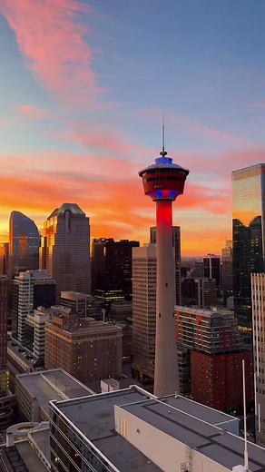 Discover the Best of Living in Calgary, Alberta
