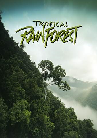 Tropical Rainforest (IMAX)