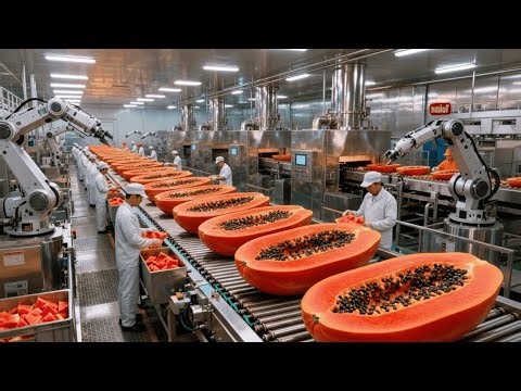 Inside a Modern Papaya Factory: From Enzyme-Rich Fruit to Natural Health Supplements