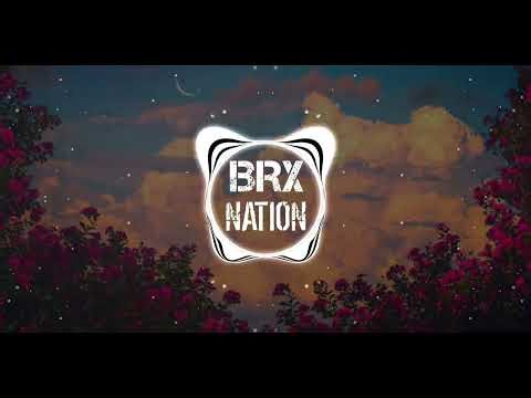 Denisa Raducu - Ce mult te iubeam - BASS BOOSTED