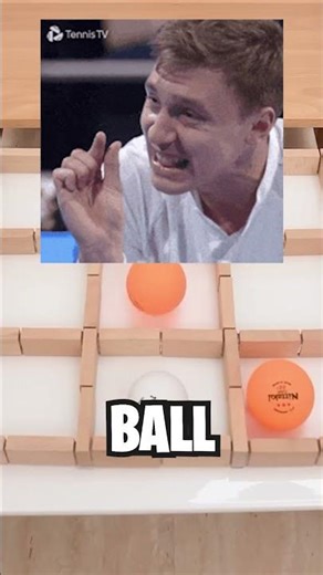 cat VS kitty in tic TAC toe! #catfunny #memes #shorts