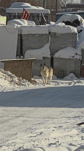 Mcclane (@mcclane.john)’s videos with Talk of the Town - Fred again.. & Sammy Virji & Reggie