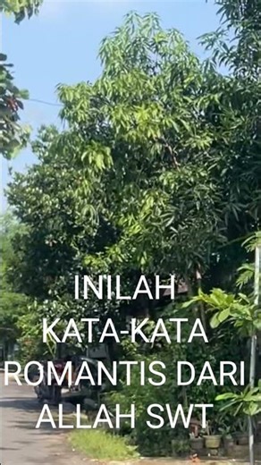 Jata Rimantis words from Allah SWT #Quran #shortvideo #love #motivation