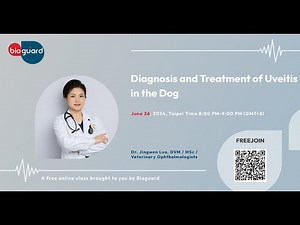 Diagnosis and Treatment of Uveitis in the Dog