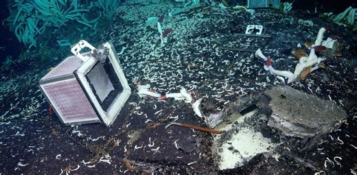 生息不可能と思われていた海底で生物を発見。ということは宇宙にもいる？