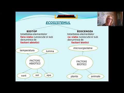 V 1 Ecosystem - biotope, biocenosis - Biology lessons - fifth grade syllabus