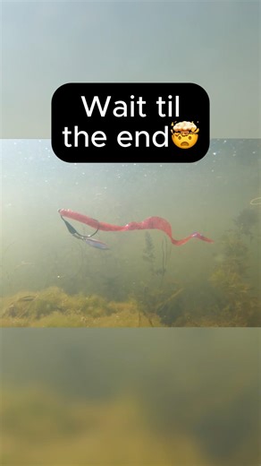 Tungsten Bladed Swim Jig 🔥 The Strike Hits Hard 🤯 #reactiontackle #fishing