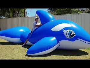 Jumbo 5m Inflatable Whale Ride