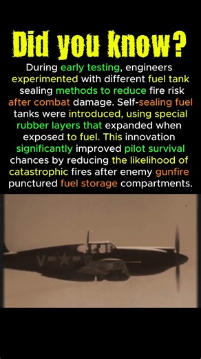 The Moment Prototype Testing Proved the Mustang’s #MustangPrototype #WWIIFlightTest #Aircraft #P51