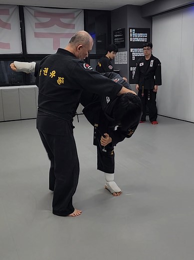 Throwing power on kicks #martialarts #Korea🇰🇷 #exercise #training #Hapkido #kangjun #Jiujitsu #BJJ #Judo #karate #boxing #MMA #kungfu #selfdefence