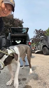 4.6K views · 36 reactions | KOOPA Koopa’s true size is hard to...