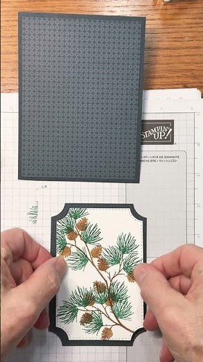 Stampin Up//Branching Out//Traditions of Christmas Specialty DSP//Sep-Dec 2025 Mini Catalog