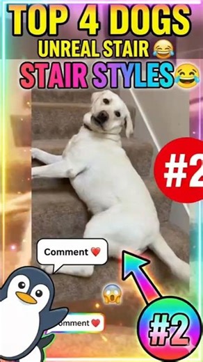 ​"4 Dogs with UNREAL Stair Styles! 🐕✨ (Wait for #1 😱)" #dogs #stairs #shorts