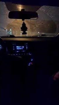 Seagulls! (Stop it now) (song by: Bad Lip Reading)