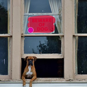 195 reactions · 23 comments | Unleash your creative potential when you edit your photos and videos using Picsart. | Picsart | Facebook