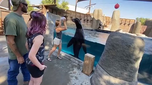 14K views · 249 reactions | Wildlife World Zoo in Litchfield Park had a very special part in this couple's big day.  (Video: Wildlife World Zoo, Aquarium & Safari Park/Facebook) | 12News | Facebook