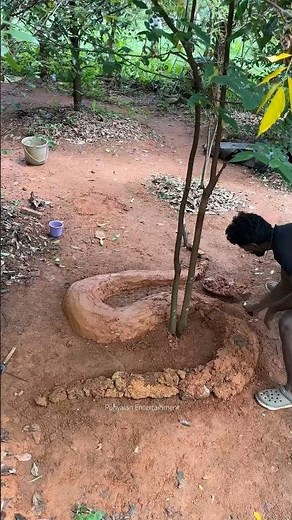 Ball Python ഉണ്ടാക്കിയാലോ part:-1🪱 #youtubeshorts #snake #love #craft #home #artist #sculpture