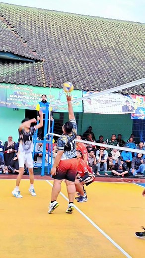 King setter Sardoy99 storyvoli explained