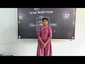 The basic organisation of computer