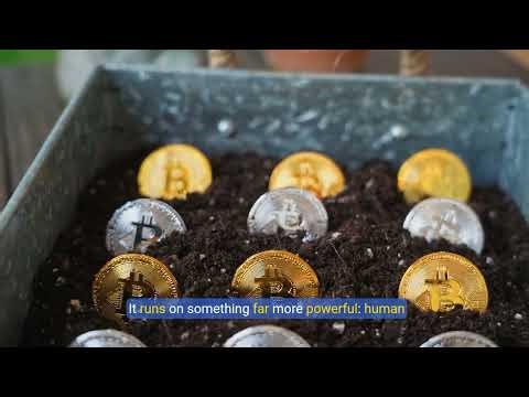 Bitcoin Can’t Be Killed Gold Can’t Compete