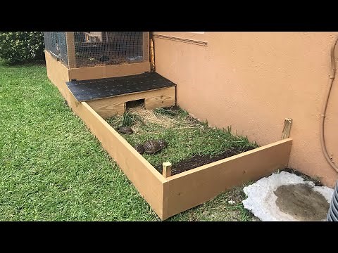 How to make an Outdoor Tortoise Enclosure