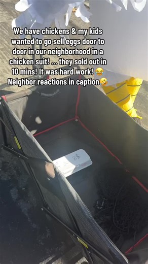 My neighbors were so confused when a giant chicken knocked on their door a week after Halloween. Some of them thought it was because they weren’t home on Halloween & they were coming back to trick or treat! Others saw them through their window & came out before we even knocked on the door & now want eggs on a regular basis! I’m telling you, if everyone sold eggs in a chicken suit the world would be a happier place! #annelisesongwriter #eggsforsale #chickens | Annelise