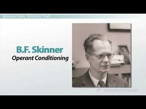 Behavioral, cognitive, Developmental, Social Cognitive and Constructivist Perspectives