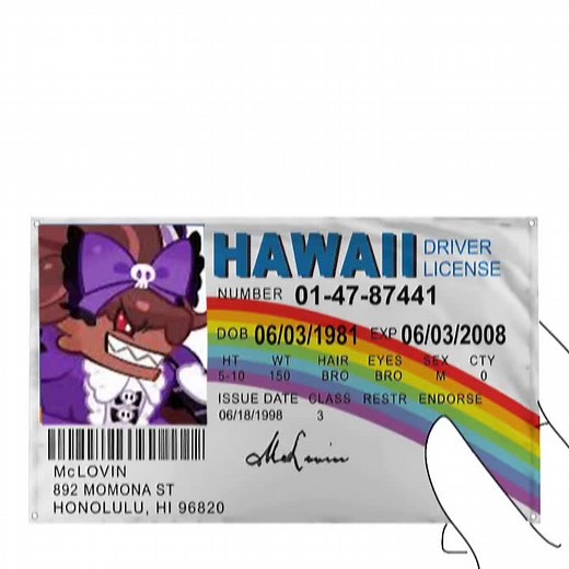 Bat Pets in Cookie Run Kingdom: Meet Licoricecookie