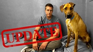 Big update on Scooby-Doo the Great Dane, i'm nervous for him 🥹 (LIVE 🔴) #gratedane #adoptme #blackmouthcur #dogs | Rocky Kanaka