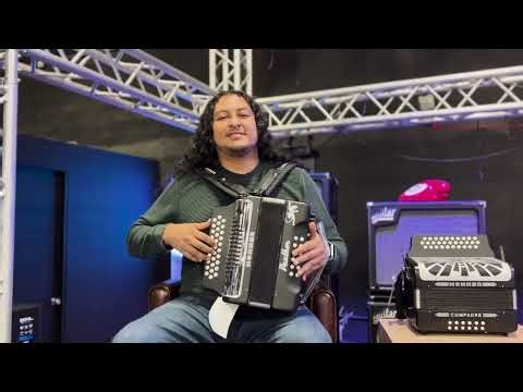 Hohner Panther - Todo lo que debes de saber | Gama Music