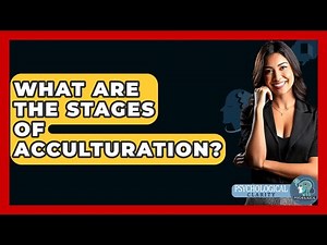 What Are The Stages Of Acculturation? - Psychological Clarity