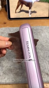 8.6K views · 1.5K reactions | This is a memorial sculpture of Rudy,...