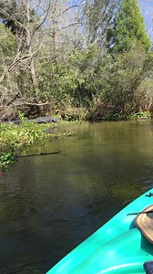 2 years ago today on one of my favorite kayak runs 🛶 #florida | Boondock Springs Eco-Tours