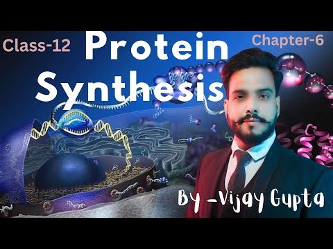 Protein synthesis(प्रोटीन संश्लेषण) Class-12/ Chapter-6/#transcription #biologyclass12