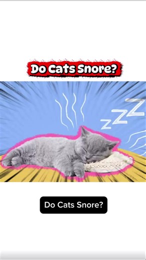 Do Cats Snore? Discover the Truth About Feline Sleep