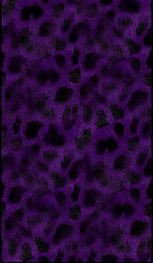 Raquel Rodriguez: Future Women's Wrestling Champion