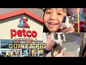 Getting my first Pet Guinea Pig at PETCO! | Momon Vlog