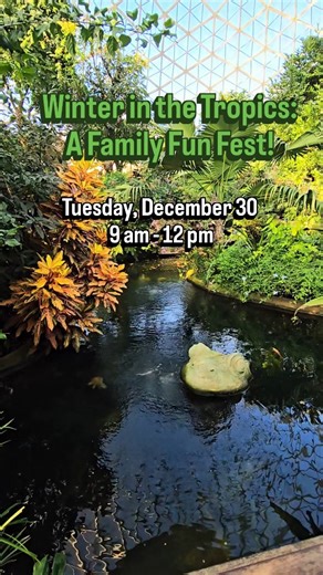 Meet the Domes’ tiniest tropical stars at Winter in the Tropics: A Family Fun Fest on December 30 from 9 am to 12 pm! Our famous dart frogs will be in attendance during the festival along with a very special appearance by Rainforest Rick. Learn insider details and little-known facts about our tropical residents in addition to enjoying much more family fun! Experience Winter in the Tropics at the Mitchell Park Domes > > > milwaukeedomes.org/event/winter-in-the-tropics-a-family-fun-fest-2 #TheDome