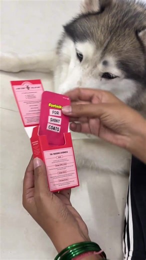 Boost your pet’s shine with Furlicks Skin & Coat Oral Strips! Easy, tasty, and packed with essential nutrients. Get yours today! 🐾✨ | Furlicks