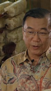 4.4K views · 163 reactions | ✨ Why do we need Ganoderma? ✨ The...