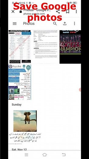 how to save google photos to gallery | how to save google pictures to gallery | google photos