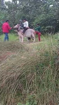 #dailyvideo #shortvideo #baccho Ki Masti