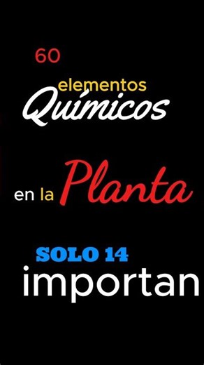 ¿Sabías que la planta tiene 60 elementos… pero solo 14 la mantienen viva?