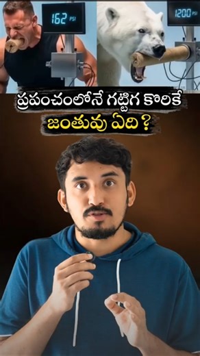 ప్రపంచంలోనే గట్టిగ కొరికే జంతువు 🤔 | Wait for end 😱 #telugu #telugushorts #facts