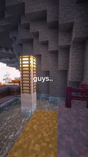 Remembering Amir: A Tribute to His Life and Legacy