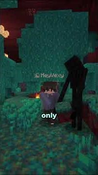 All Nether Biomes!