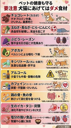 【命に関わる】犬と猫が絶対に食べてはいけない「死の食品10選」｜玉ねぎ・チョコ・ぶどうの恐ろしい中毒症状と飼い主ができる対策
