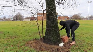 400K views · 368 reactions | Never take a new pet bunny to the park! Check out this man as he fails to capture his pet in the box! Super funny video! | Rumble | Facebook