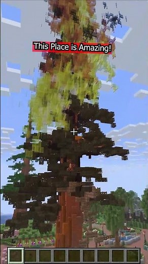 Redwood Trees, Amazing Building and Fantastic Colors in Minecraft